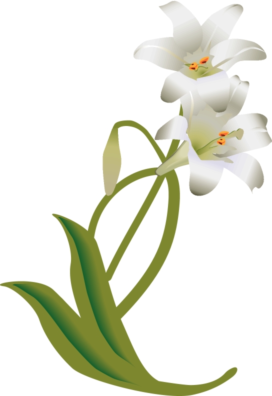 white-easter-lily-decoration